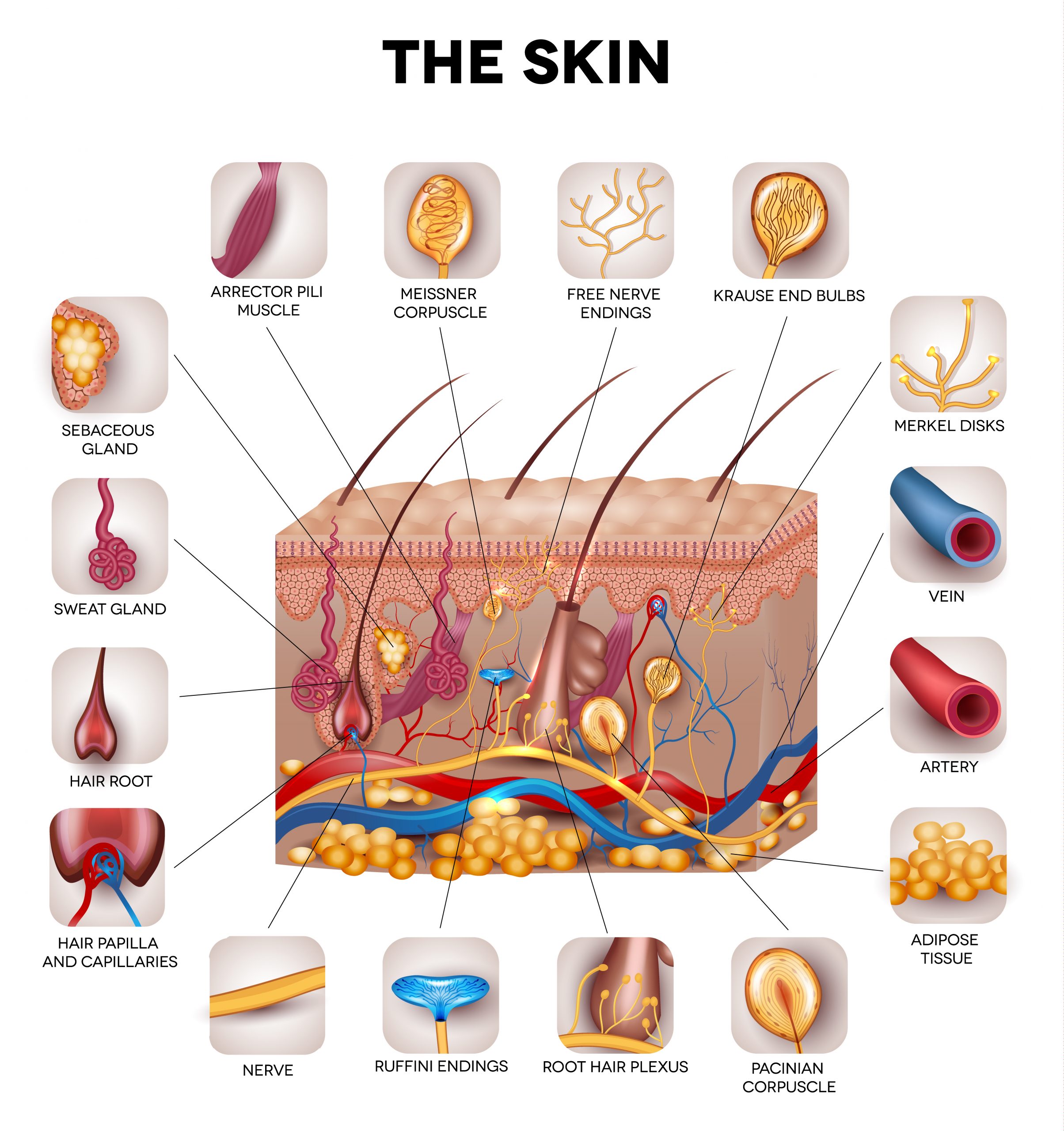 Clinical Research trials at your Charlotte dermatologist